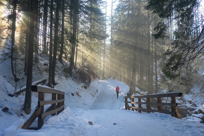 Holiday Harmony: A Stress-Management Guide for a Joyful Season