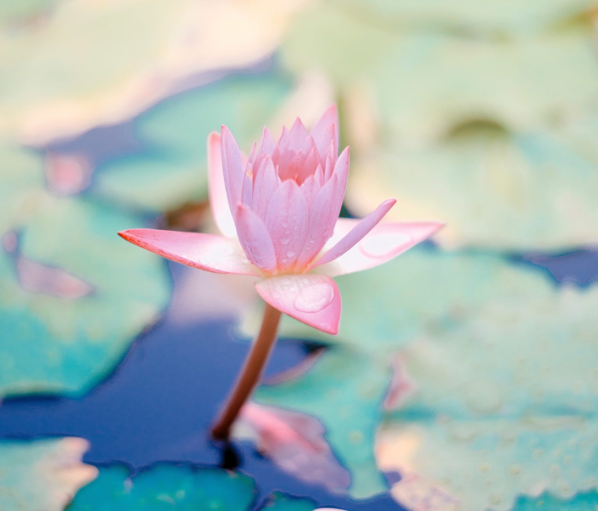 The Power of Meditation and Mindfulness for Kids