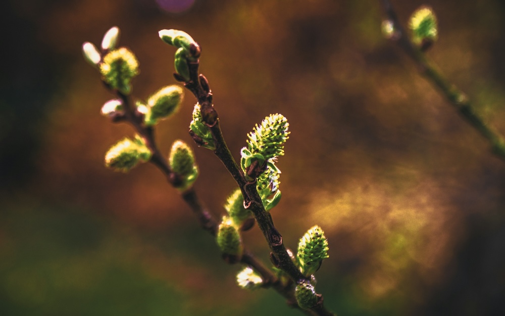 A Time for Renewal