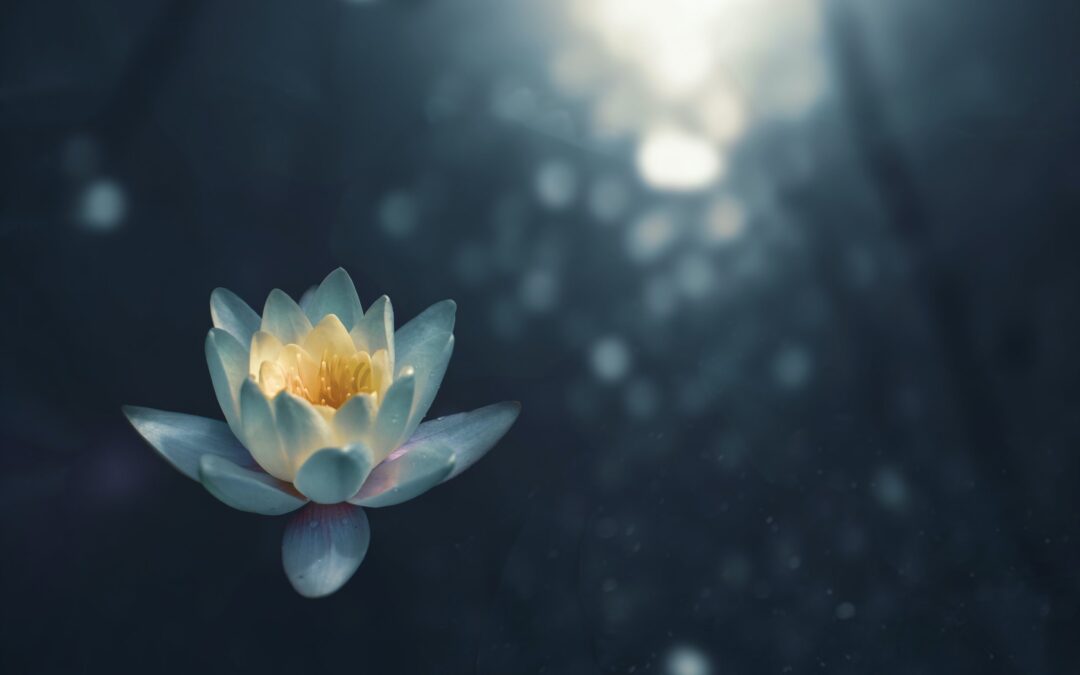 Grounding Meditation